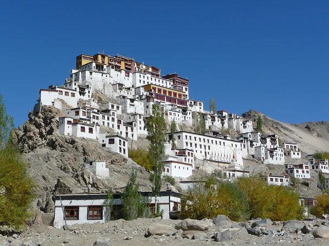 Panoramic Ladakh